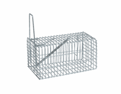 0377c2926ac7807f9dde2756ce1bd65e-1.png