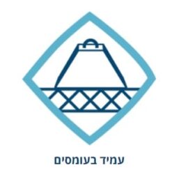יריעת פלציב 10 מ”ר משטח הגנה לבריכת שחייה