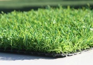 דשא סינתטי "אכילס" 25 מ"מ
