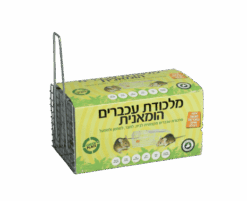 5c4f013d169322327ce5ddadad25c618-1.png