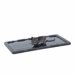7d6a271857c79c788ffc9ccc254d64d2-1.png