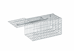 cc5bd50f19961447117c4215047268aa-1.png