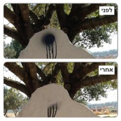 מסיר דבק וצבע  GRAFFITECH B4
