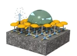 סילר ננוסיל Nano מקצועי שקוף NTSI