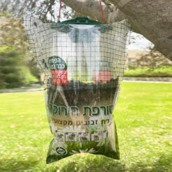 טורפת זבובים ירוקה GREEN PLACE