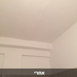 דריילוק 15 – אקסטרים צבע נגד רטיבות ועובש