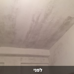דריילוק 15 – אקסטרים צבע נגד רטיבות ועובש