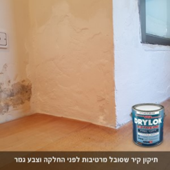 דריילוק 15 – אקסטרים צבע נגד רטיבות ועובש
