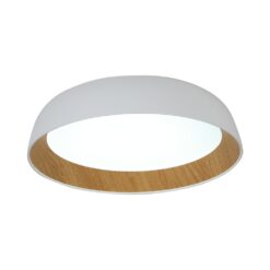 צמוד תקרה OREN 60W 60CM 3CCT